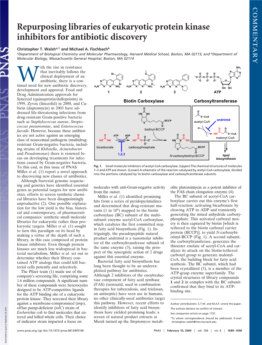 Repurposing Libraries of Eukaryotic Protein Kinase Inhibitors for Antibiotic Discovery