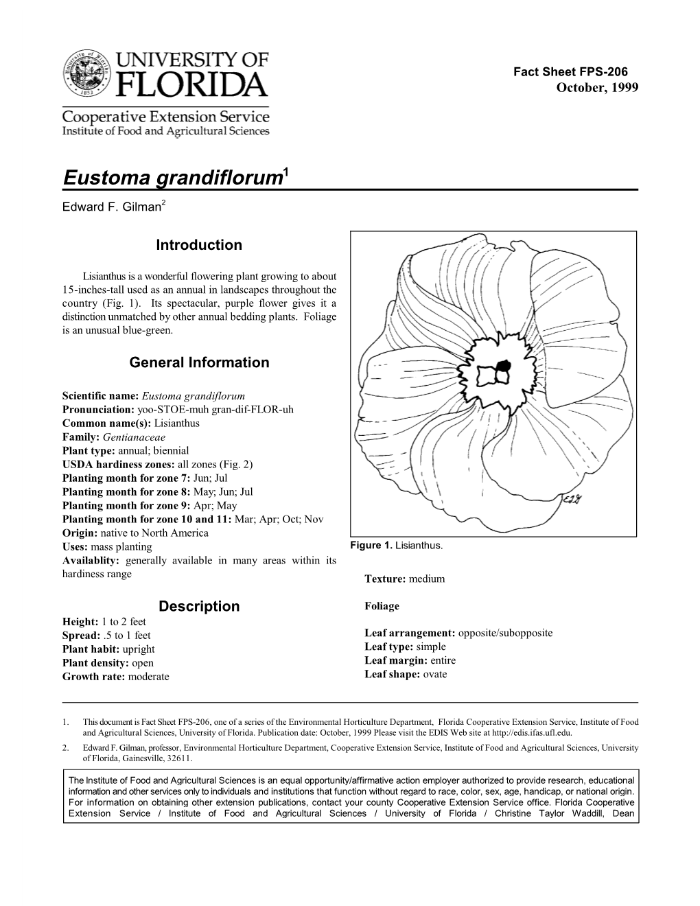 Eustoma Grandiflorum1