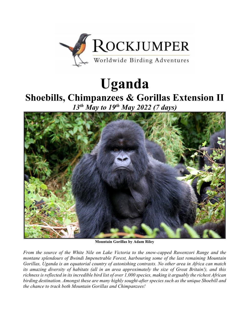 Uganda Shoebills, Chimpanzees & Gorillas Extension II 13Th May to 19Th May 2022 (7 Days)