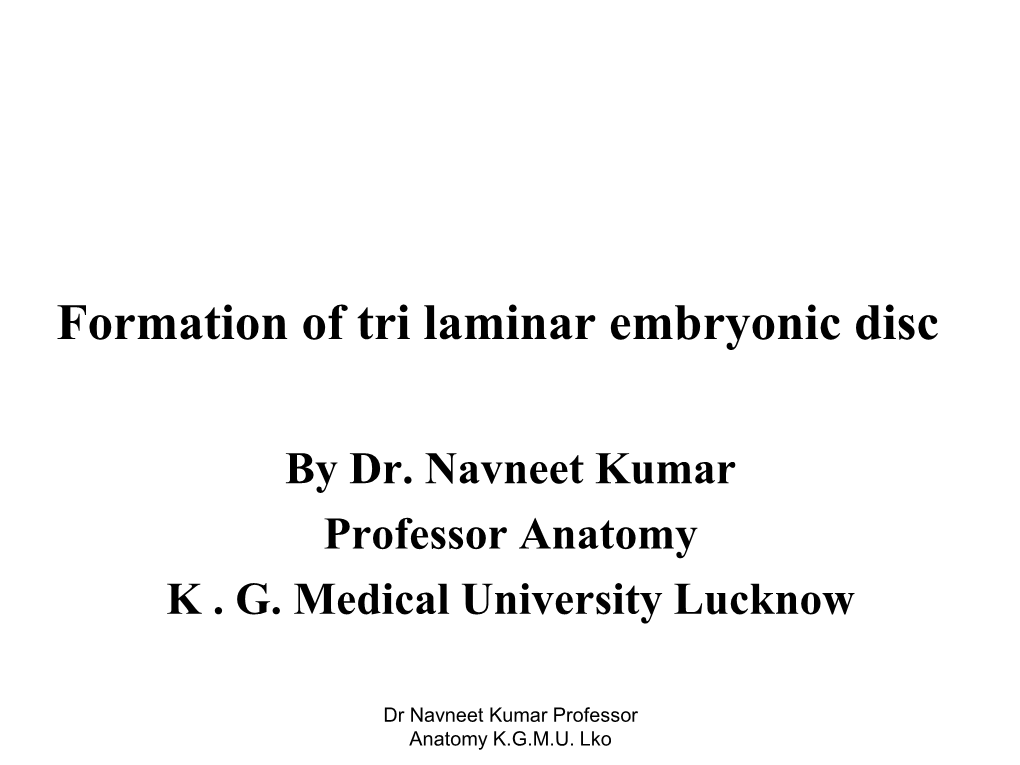 Formation of Tri Laminar Embryonic Disc