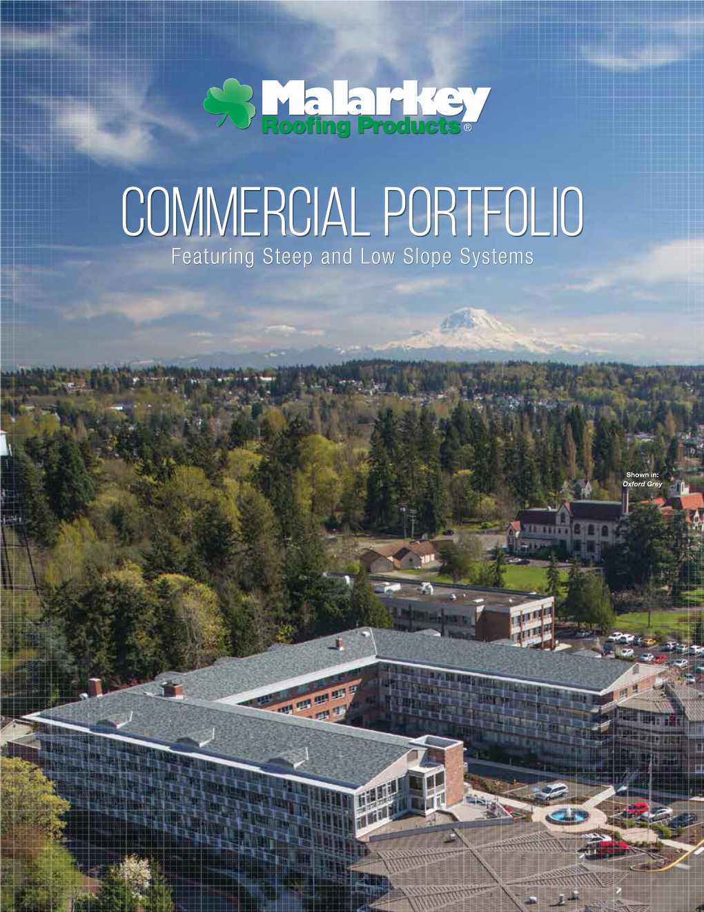 Commercial Portfolio Featuring Steep and Low Slope Systems