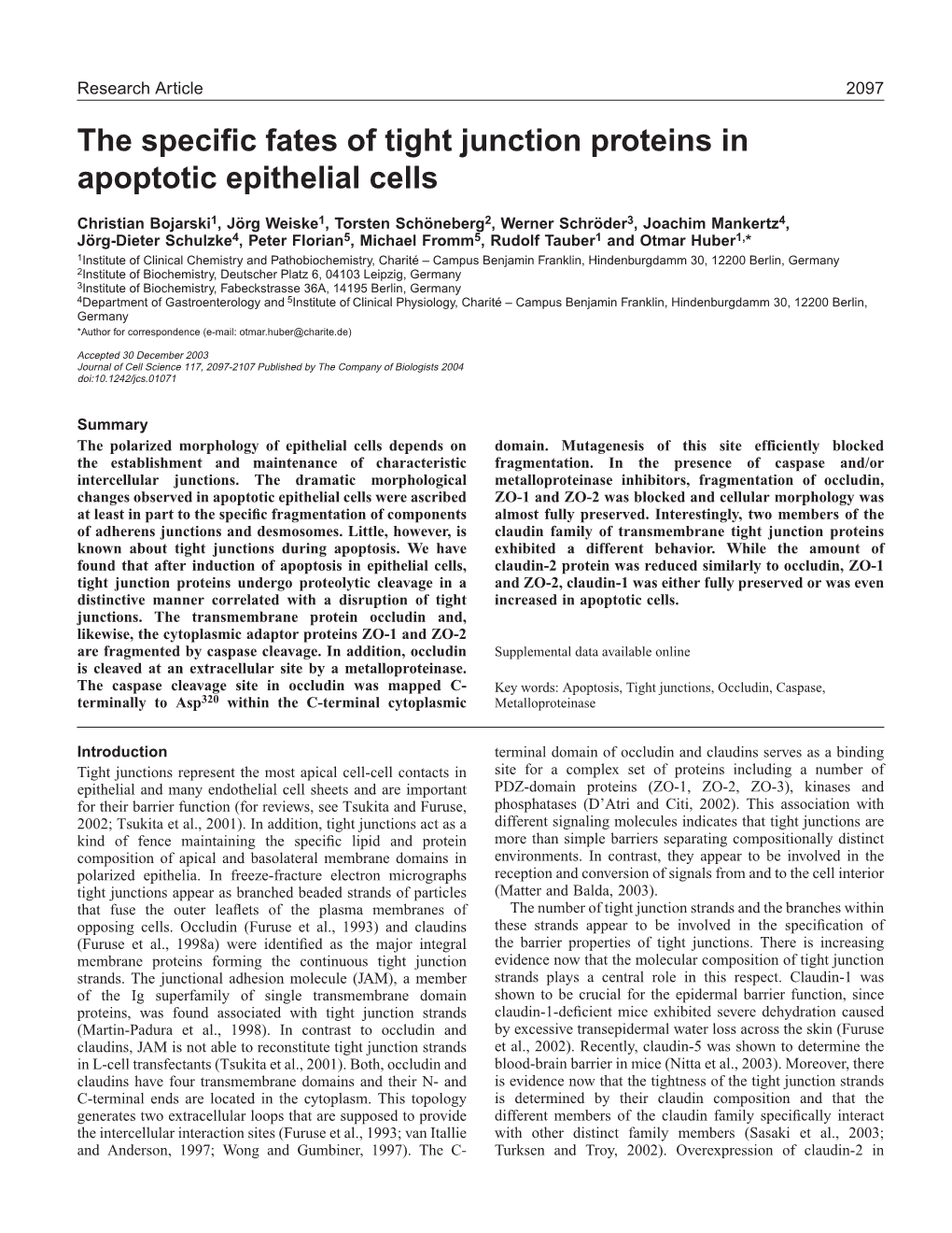 The Specific Fates of Tight Junction Proteins in Apoptotic Epithelial Cells