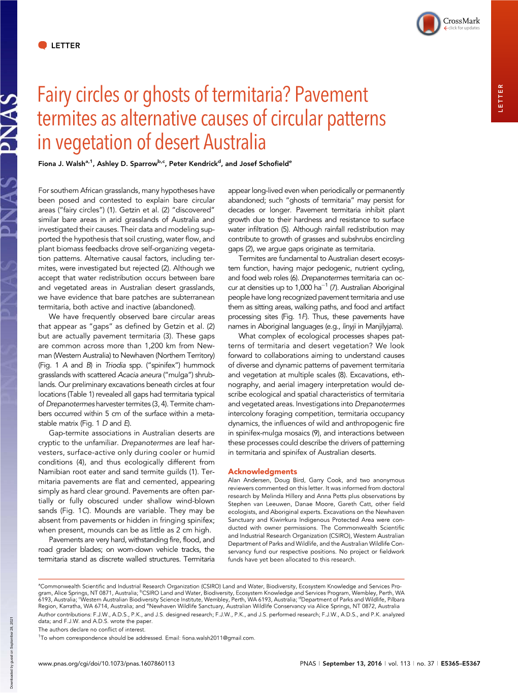 Fairy Circles Or Ghosts of Termitaria? Pavement Termites As Alternative Causes of Circular Patterns LETTER in Vegetation of Desert Australia Fiona J