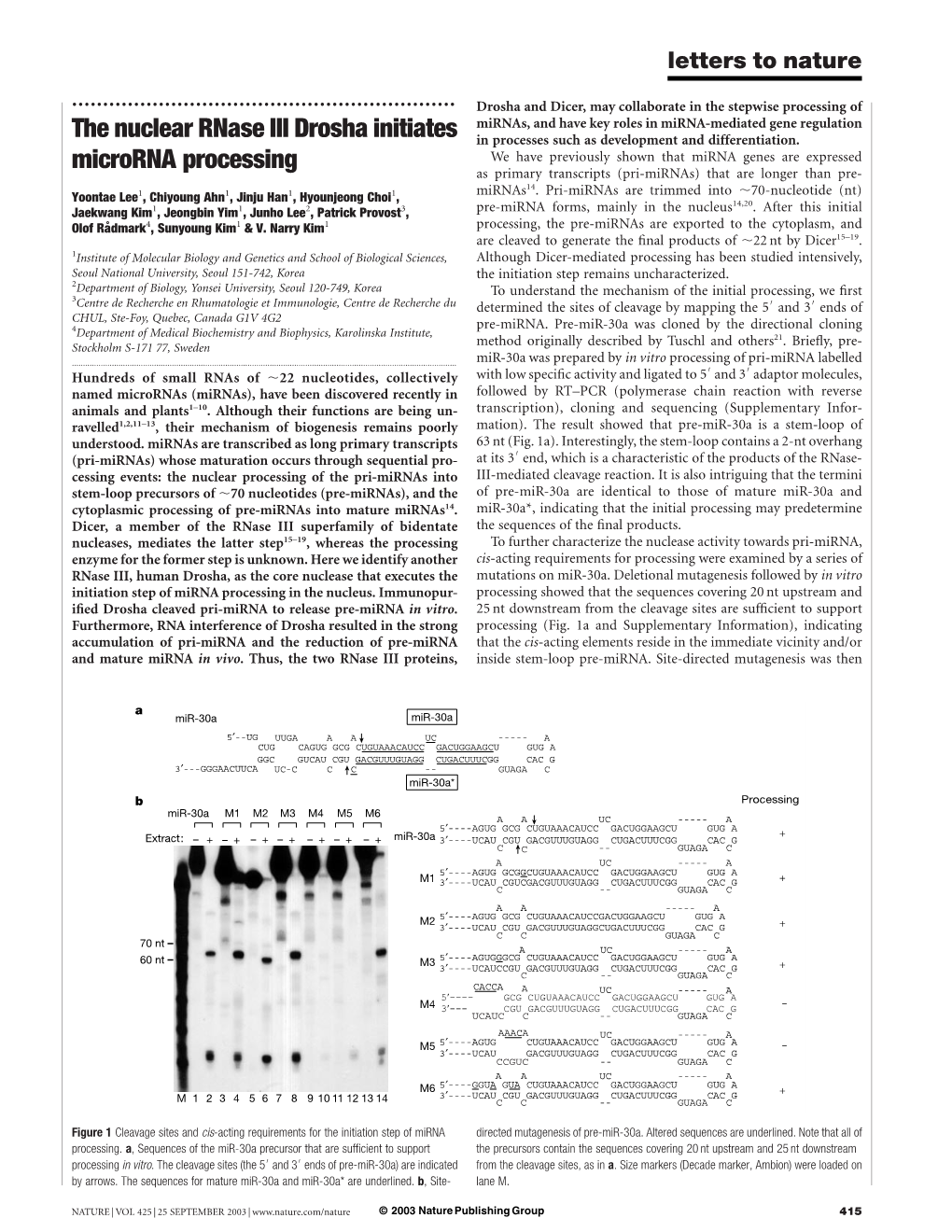 The Nuclear Rnase III Drosha Initiates Microrna Processing