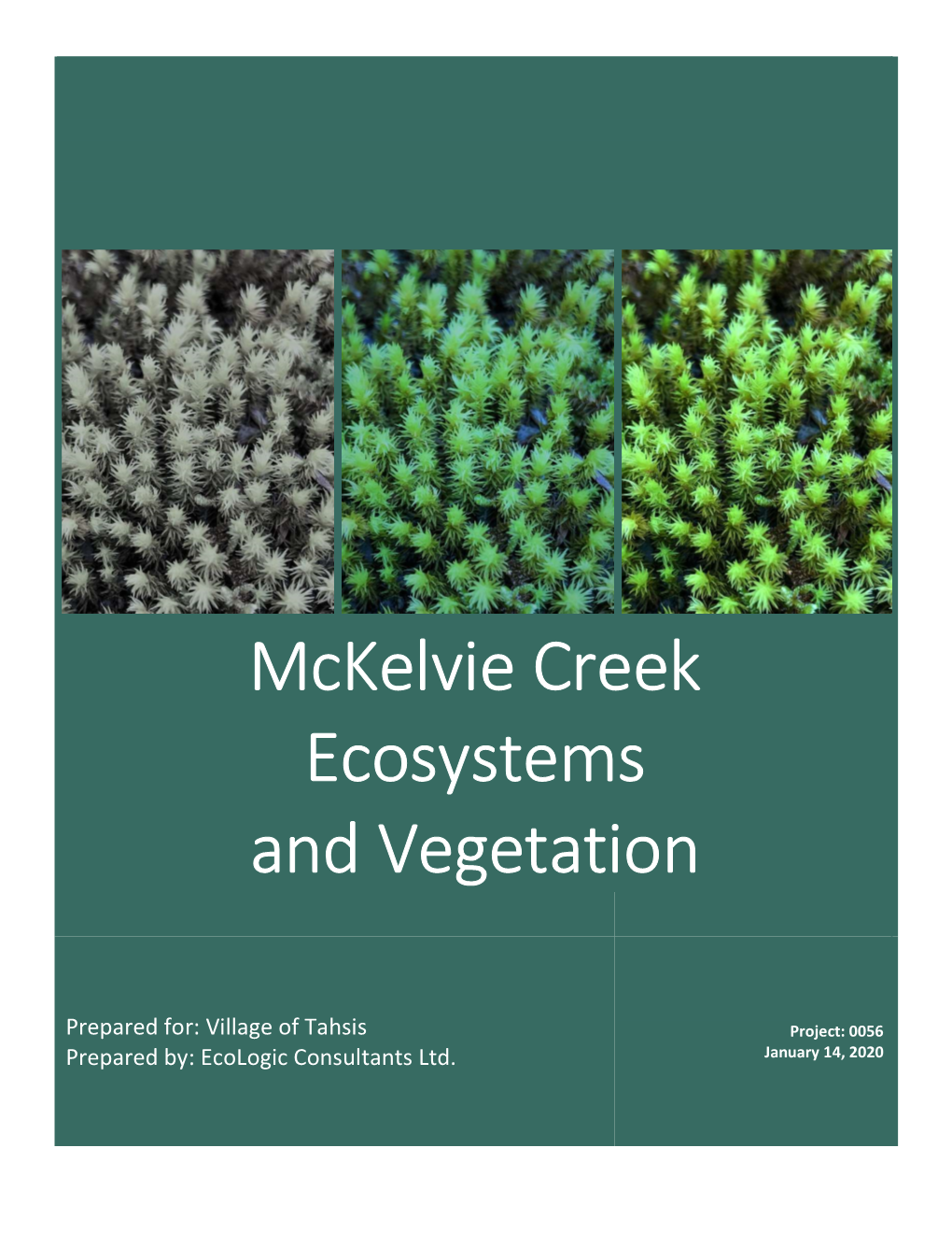 Mckelvie Ecosystems and Vegetation