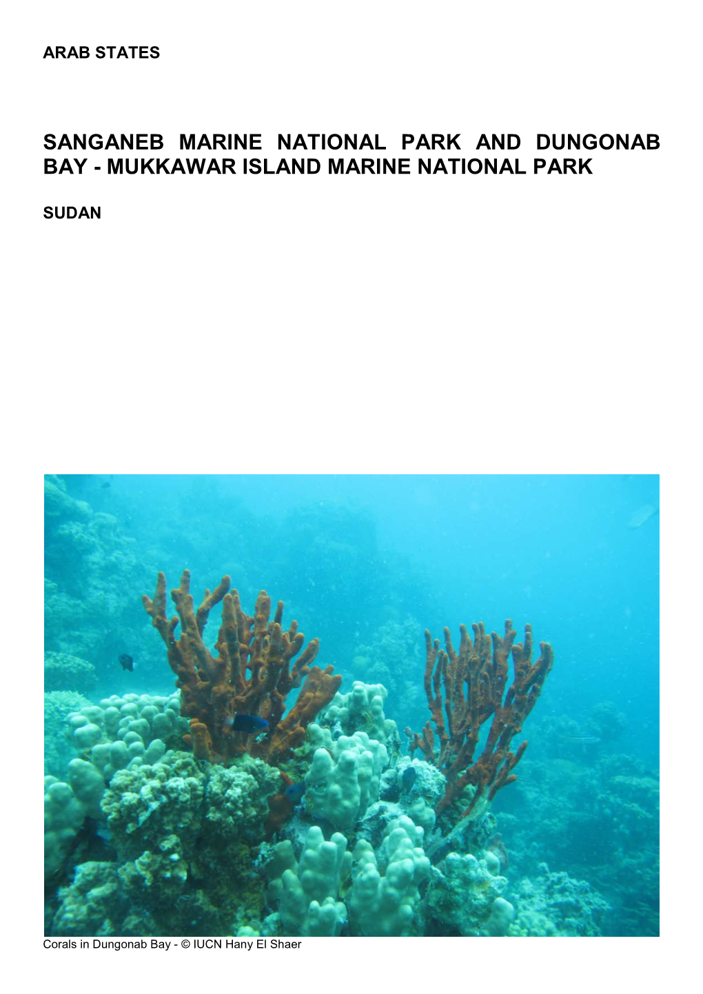 Sanganeb Marine National Park and Dungonab Bay - Mukkawar Island Marine National Park