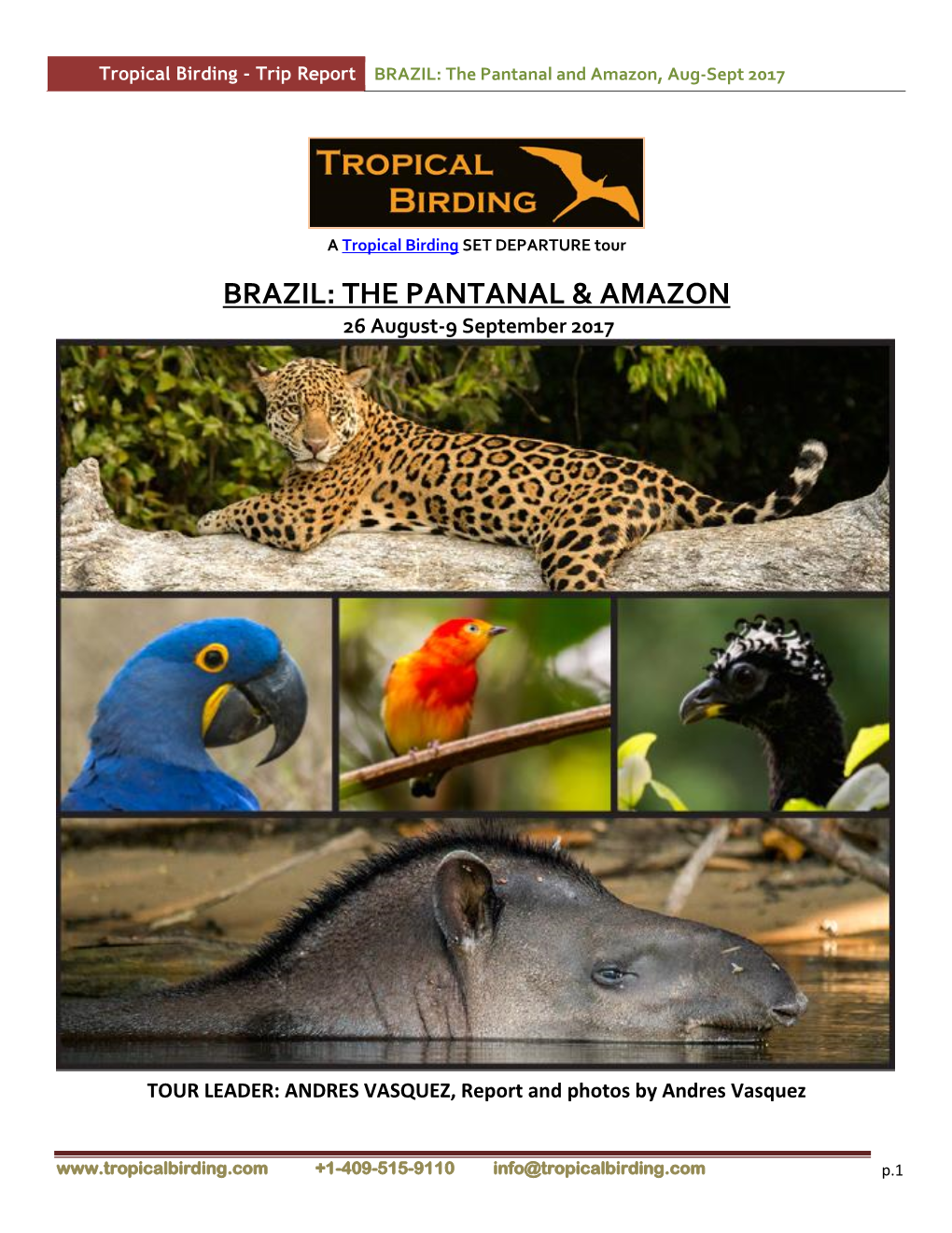 Brazil: the Pantanal & Amazon