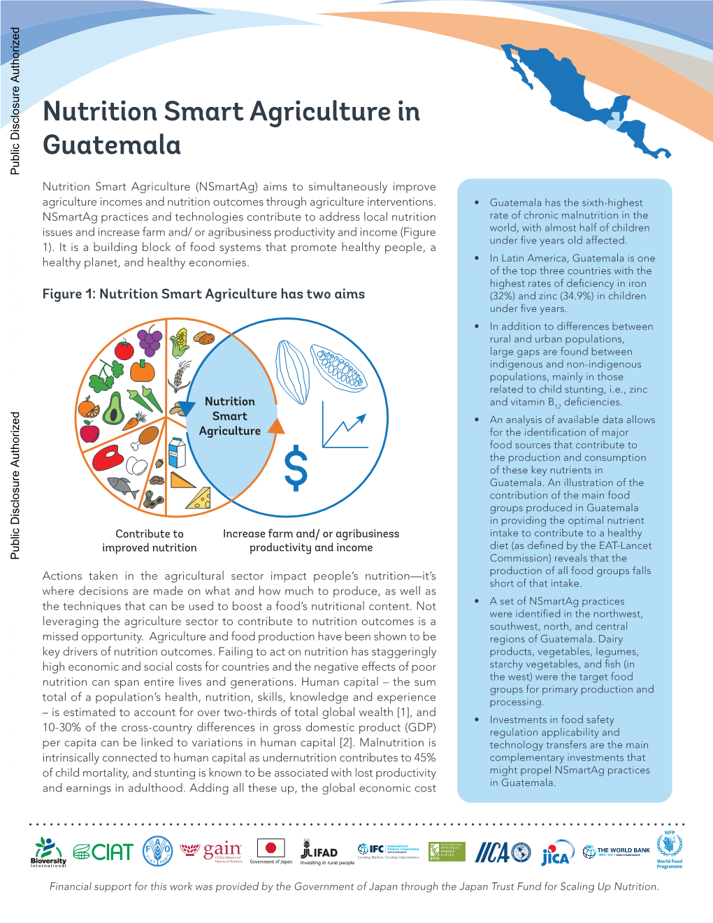 Nutrition Smart Agriculture in Guatemala