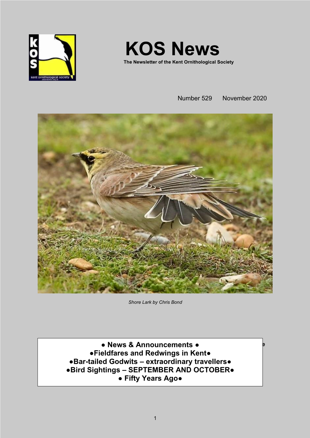 KOS News the Newsletter of the Kent Ornithological Society