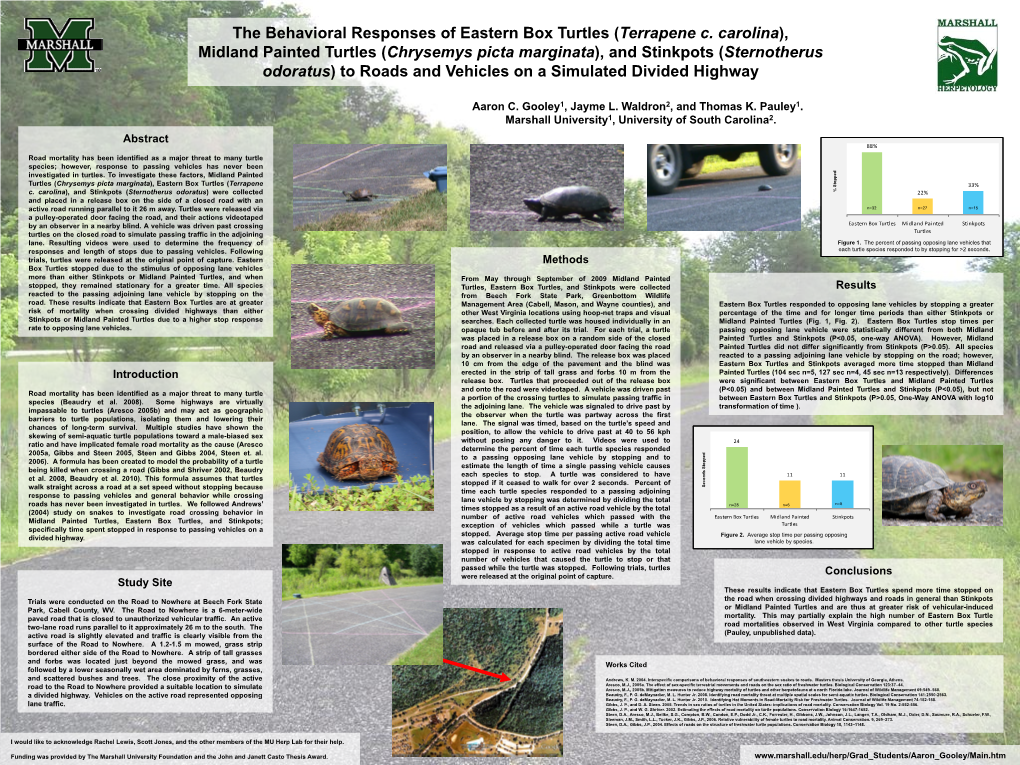 The Behavioral Responses of Eastern Box Turtles (Terrapene C