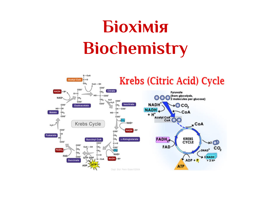 Substrate Product Catalyse Catalytic Activity Isoenzyme Multienzyme