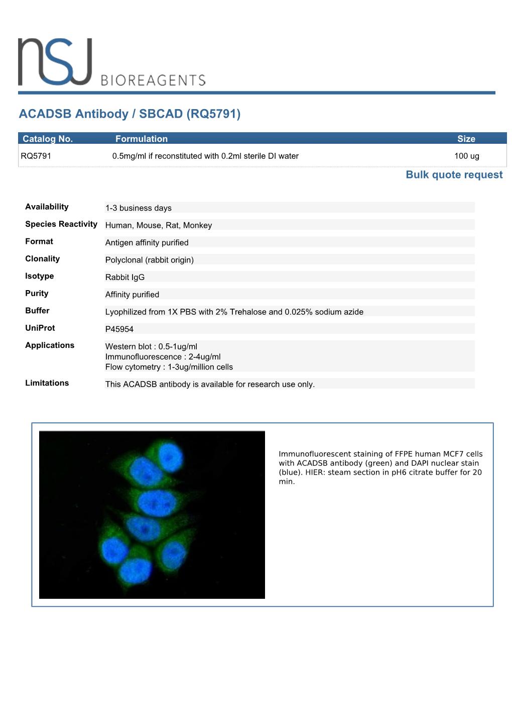 ACADSB Antibody / SBCAD (RQ5791)