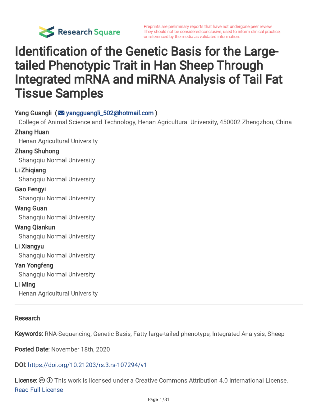 Identification of the Genetic Basis for the Large-Tailed Phenotypic Trait In