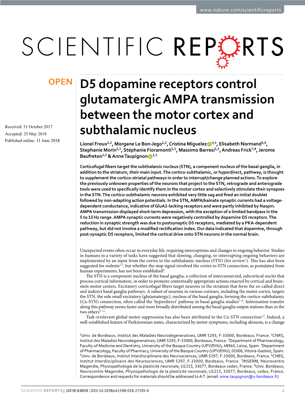 D5 Dopamine Receptors Control Glutamatergic AMPA Transmission