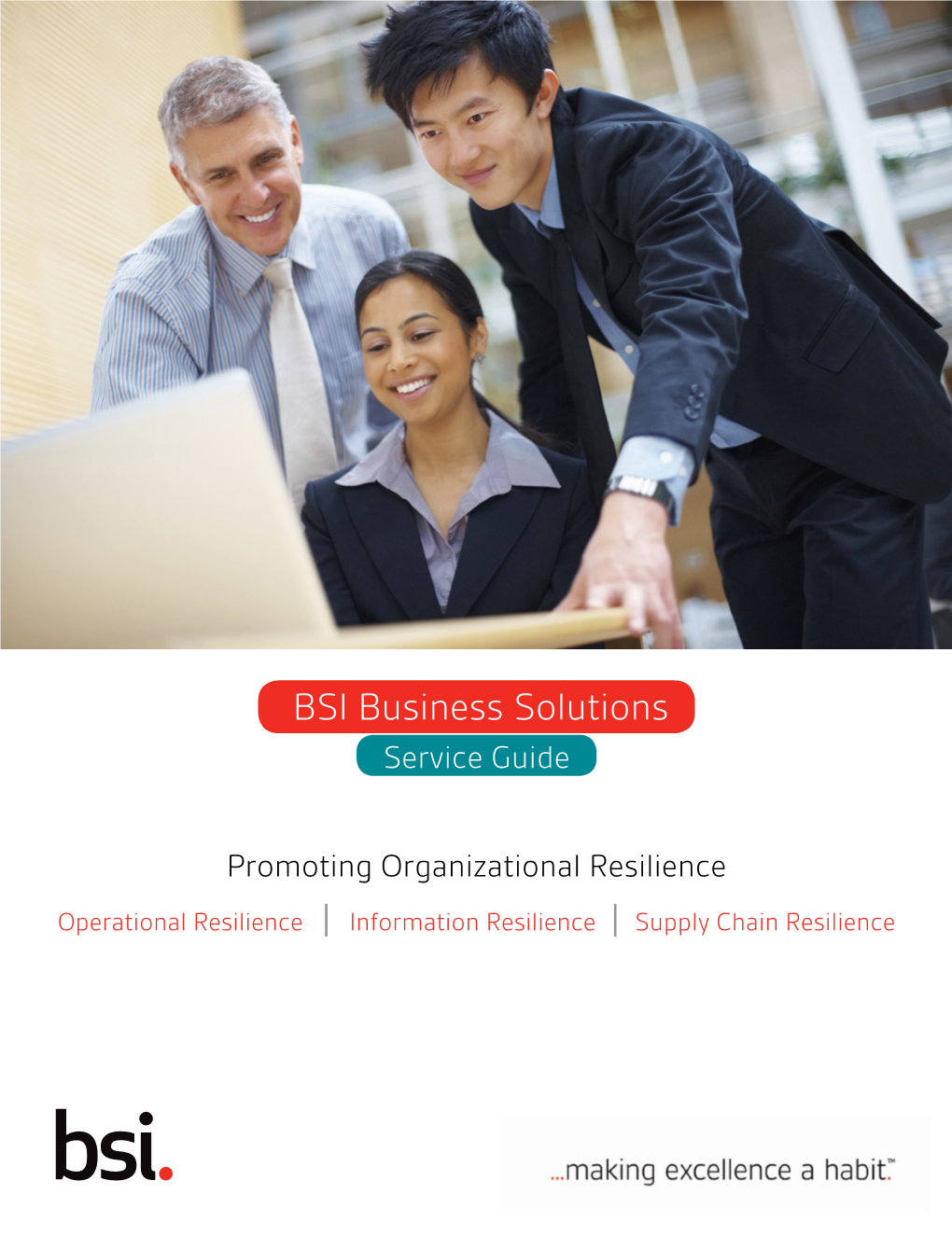 BSI Business Solutions Service Guide