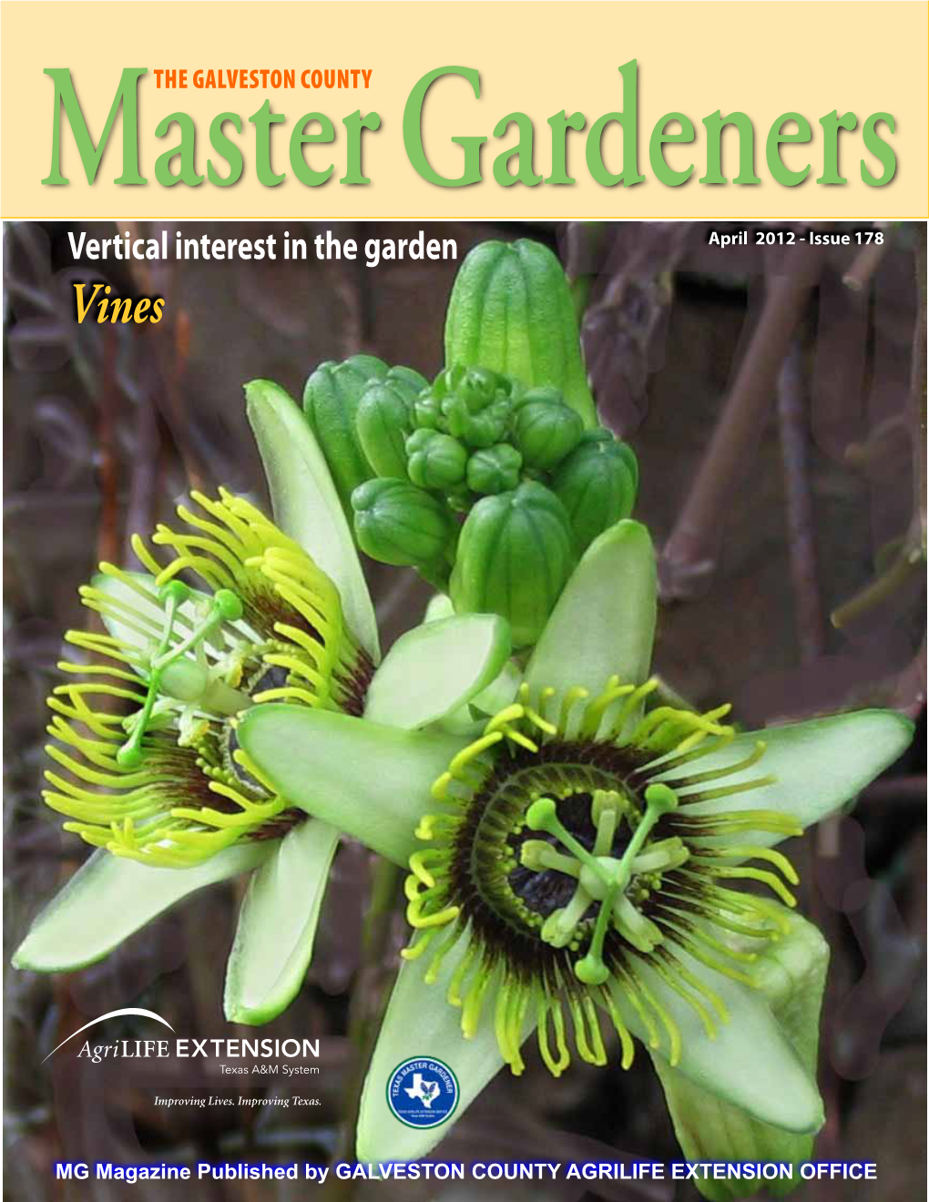 Vertical Interest in the Garden April 2012 - Issue 178 Vines