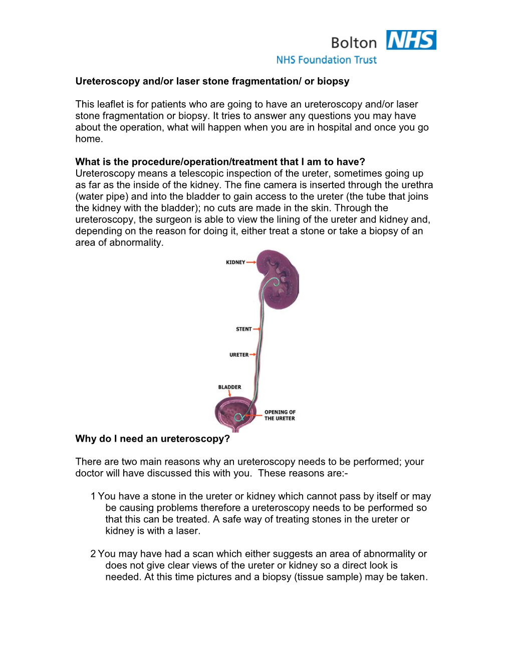 Ureteroscopy And/Or Laser Stone Fragmentation/ Or Biopsy