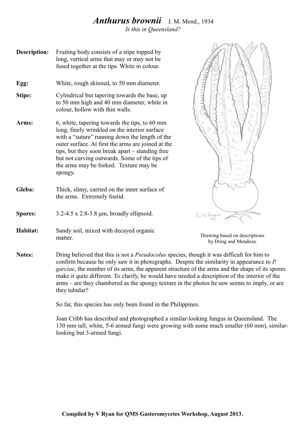 Contributions Towards a Rational Arrangement of the Clathraceae Kew Bulletin, Vol