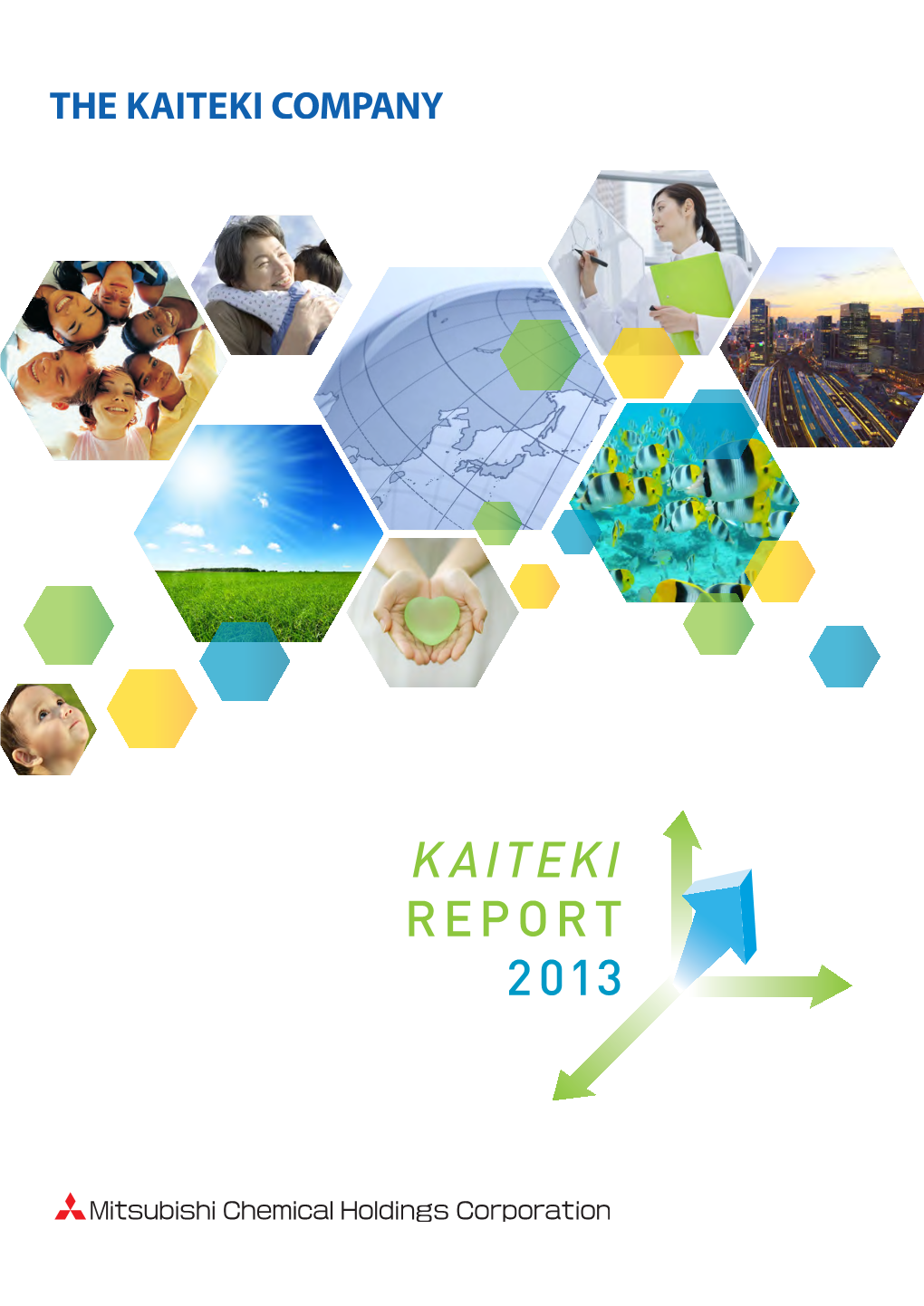 KAITEKI REPORT 2013 Profile