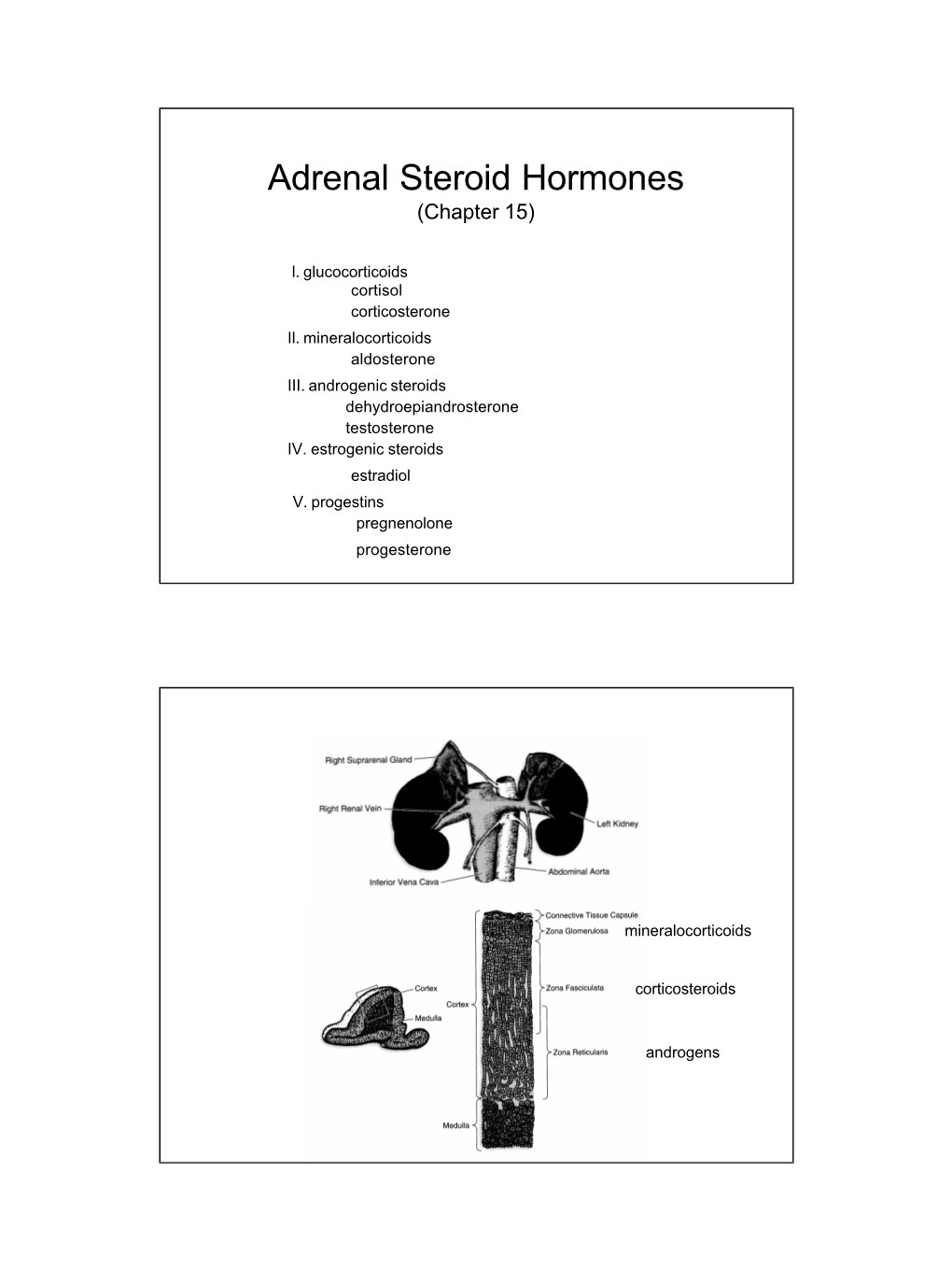 Adrenal Steroid Hormones (Chapter 15)