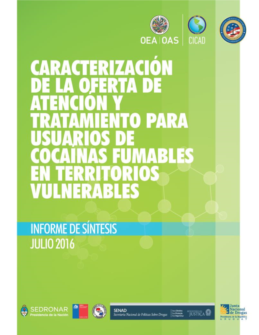 Proyecto Sobre Cocaínas Fumables En Argentina, Brasil, Chile, Paraguay Y Uruguay