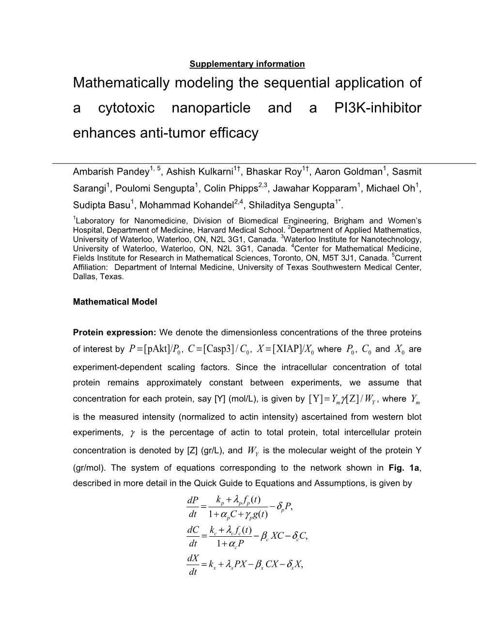 Mathematically Modeling the Sequential Application of a Cytotoxic Nanoparticle and a PI3K-Inhibitor Enhances Anti-Tumor Efficacy