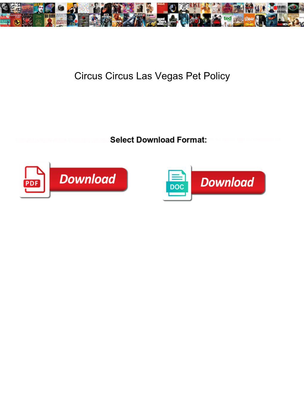 Circus Circus Las Vegas Pet Policy