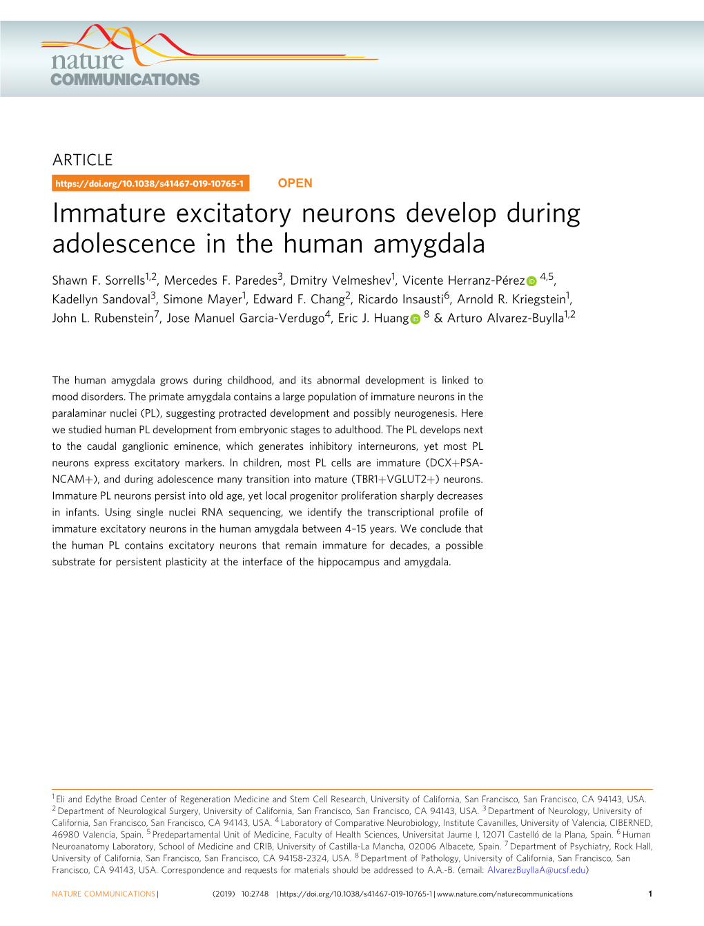 Immature Excitatory Neurons Develop During Adolescence in the Human Amygdala