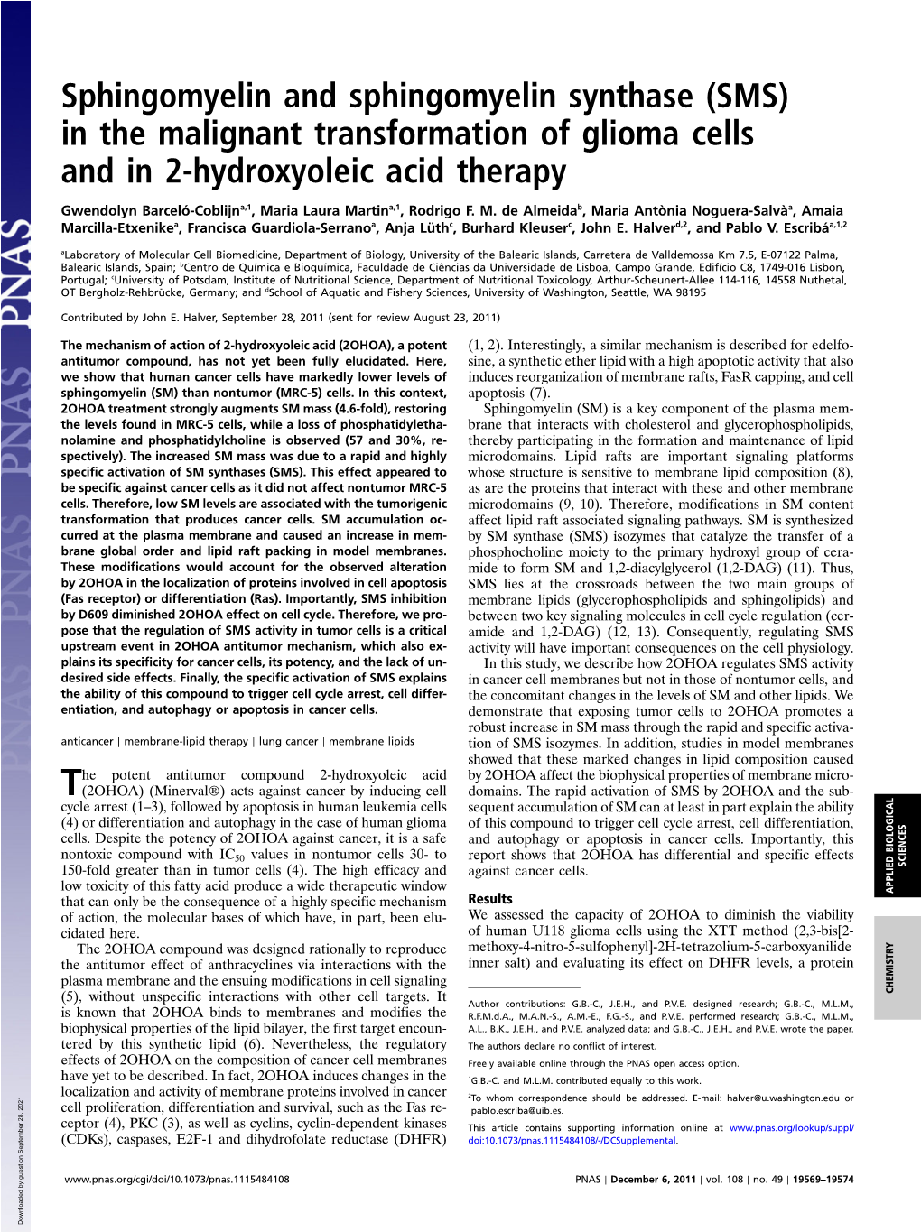 (SMS) in the Malignant Transformation of Glioma Cells and in 2-Hydroxyoleic Acid Therapy