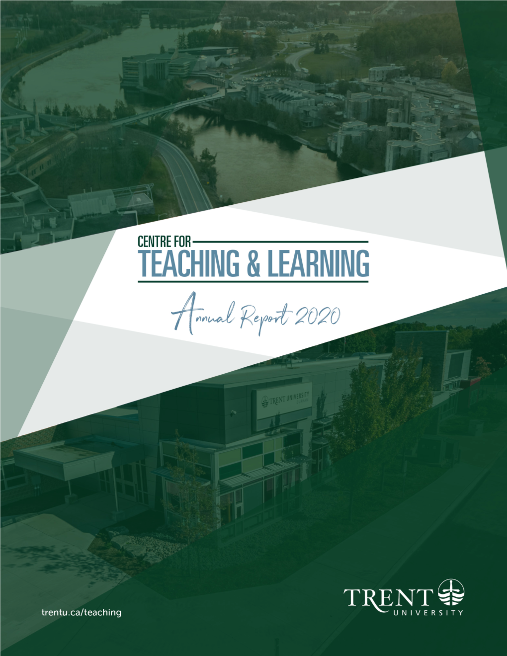 Download the 2020 Annual Report