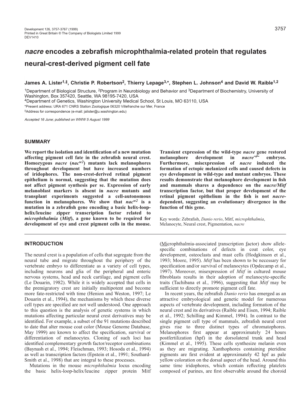 Zebrafish Mitf-Related Gene Nacre