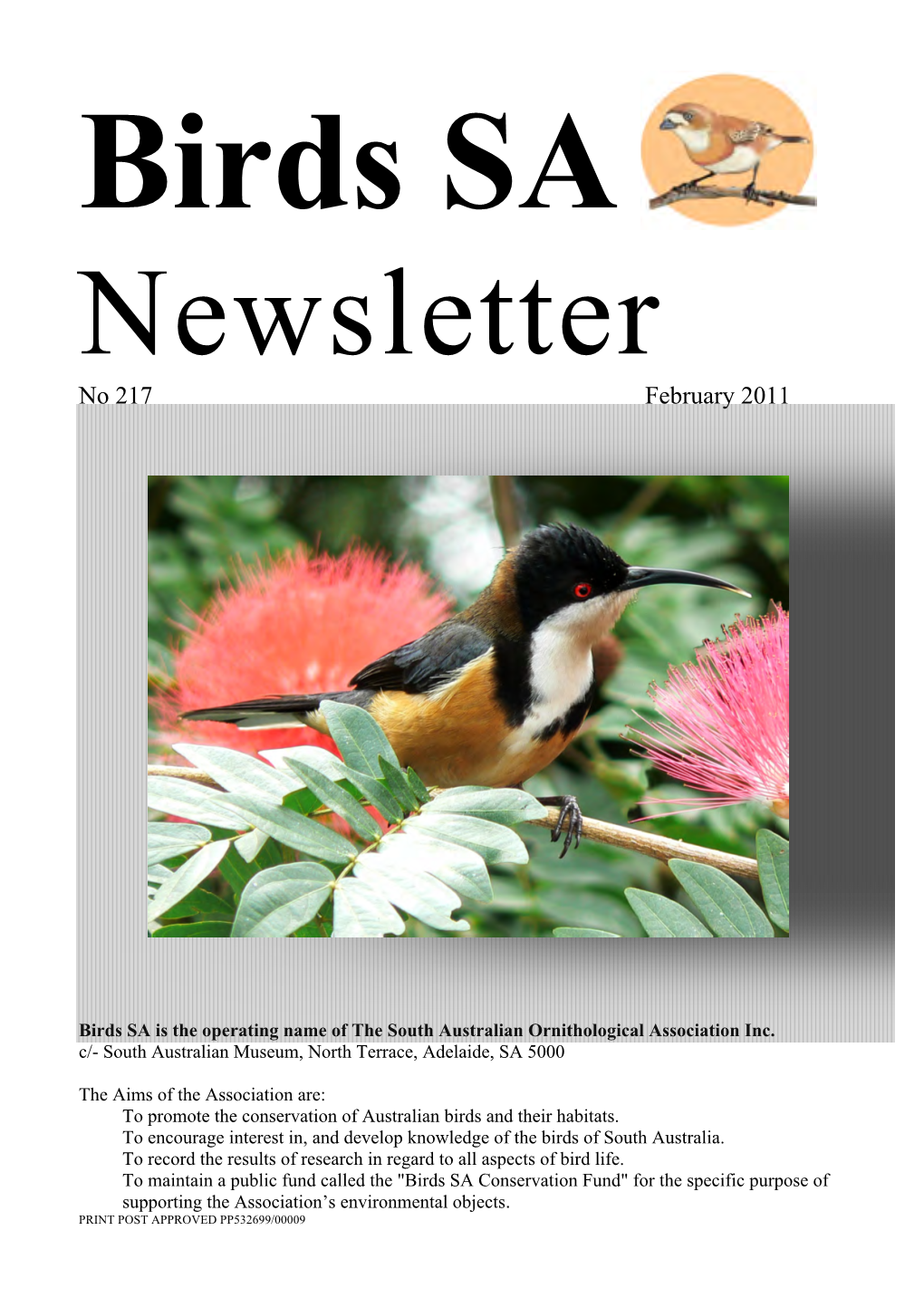 Birds SA Newsletter No. 217, February 2011