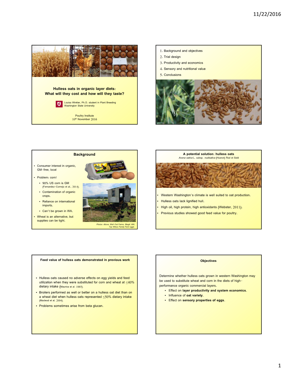 Hulless Oats in Organic Layer Diets: What Will They Cost and How Will They Taste?