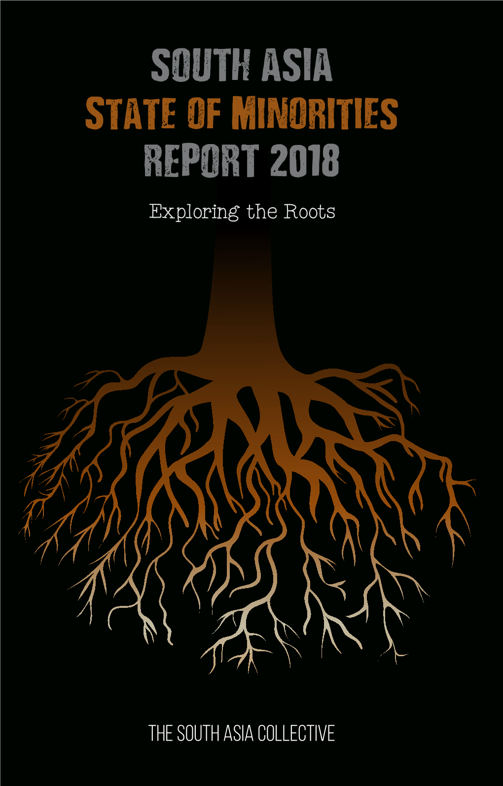 SOUTH ASIA State of Minorities REPORT 2018