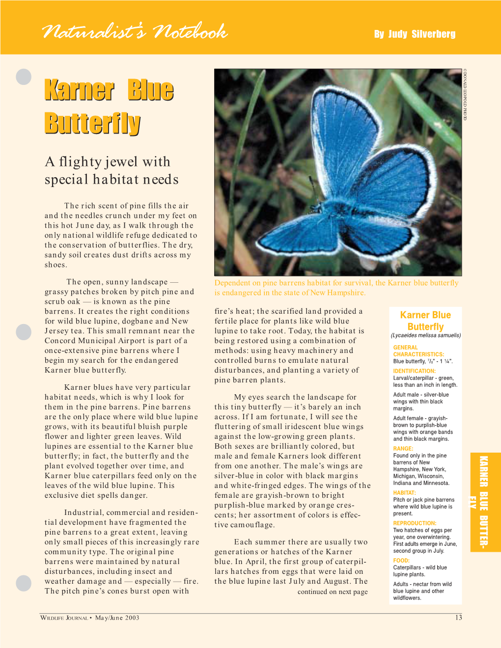 Naturalist's Notebook Karner Blue Butterfly Karner Blue Butterfly