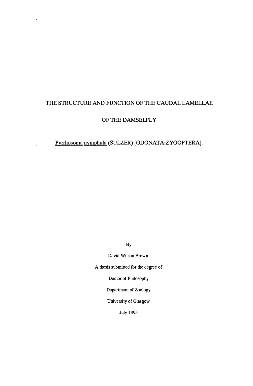 The Structure and Function of the Caudal Lamellae