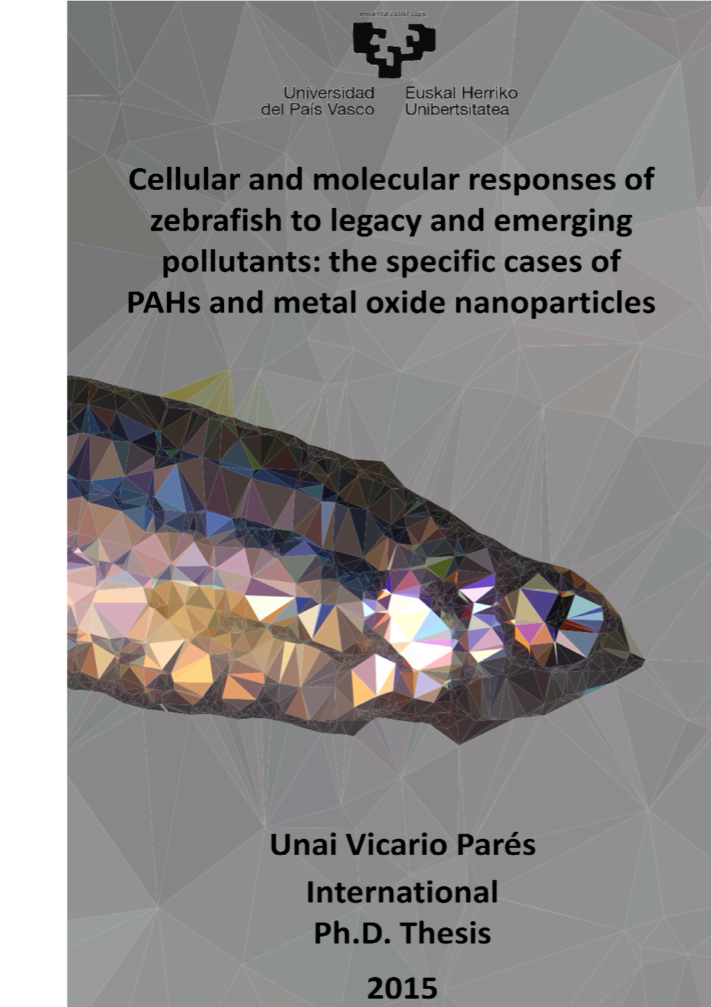 The Specific Cases of Pahs and Metal Oxide Nanoparticles