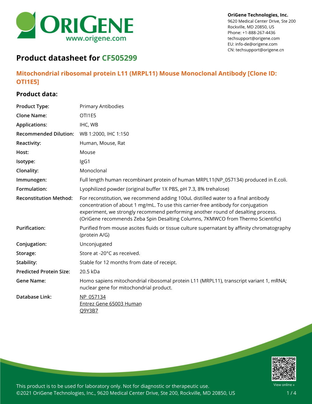 (MRPL11) Mouse Monoclonal Antibody [Clone ID: OTI1E5] Product Data