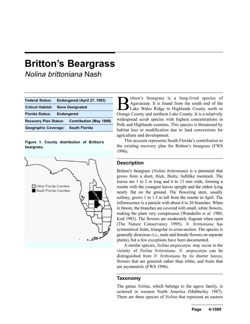 Britton's Beargrass Is a Long-Lived Species Of