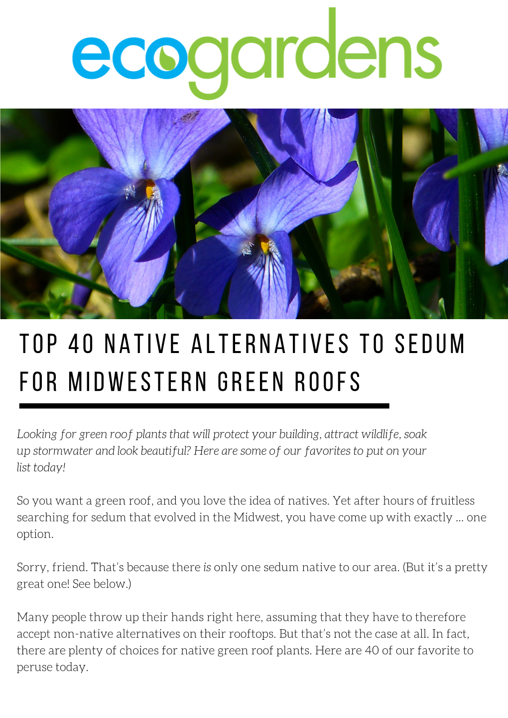 Top 40 Native Alternatives to Sedum for Midwestern Green Roofs