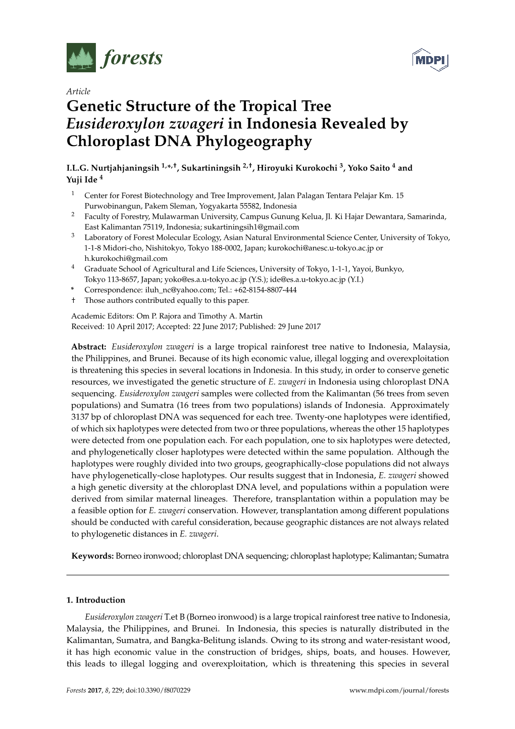 Genetic Structure of the Tropical Tree Eusideroxylon Zwageri in Indonesia Revealed by Chloroplast DNA Phylogeography