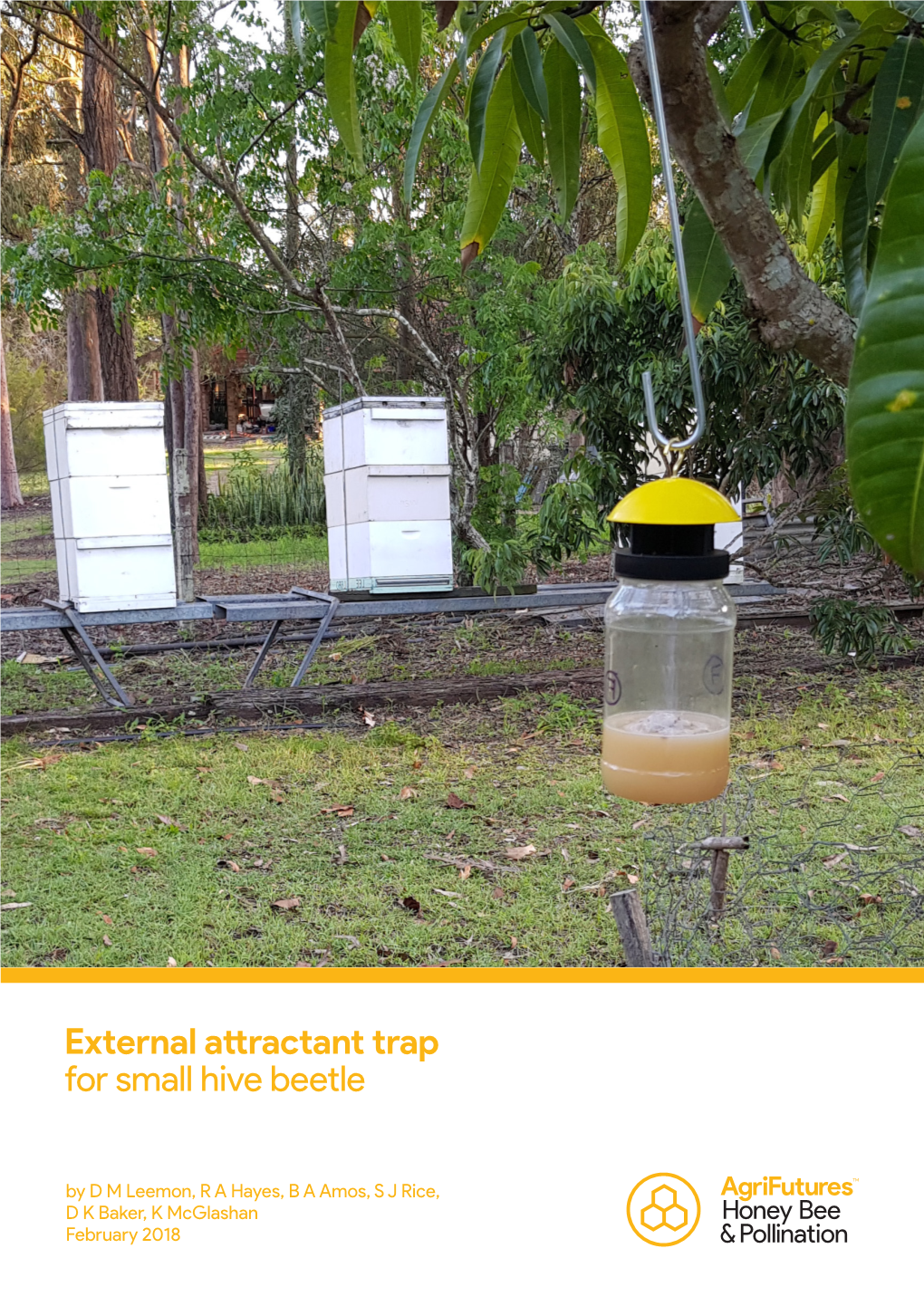 The Small Hive Beetle Trap