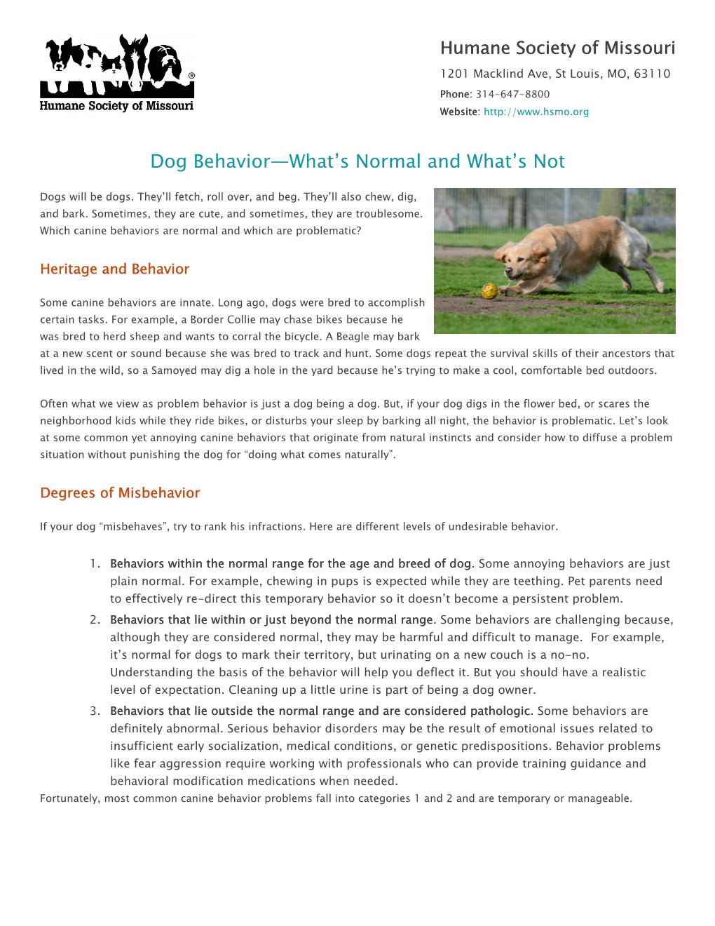 Dog Behavior—What's Normal and What's