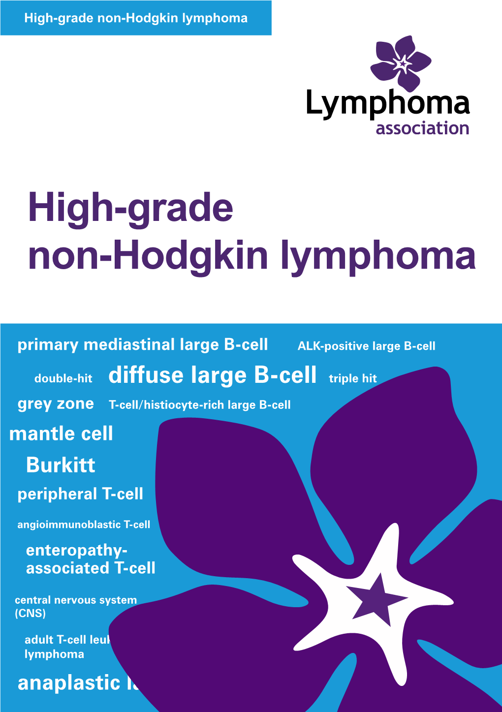 High-Grade Non-Hodgkin Lymphoma