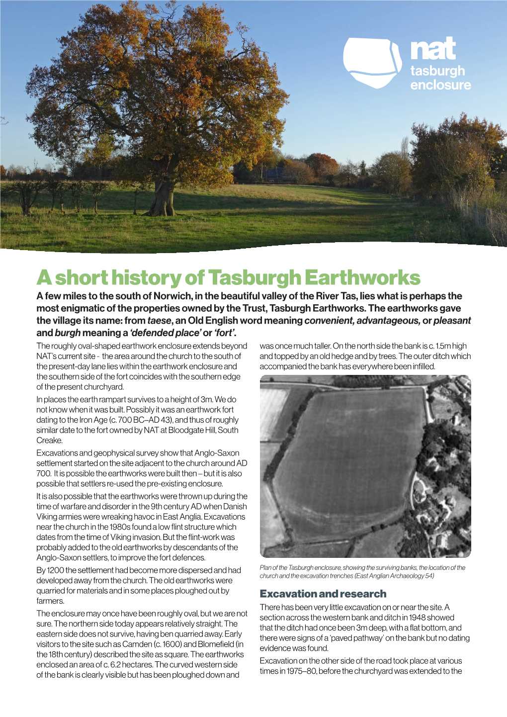 A Short History of Tasburgh Earthworks