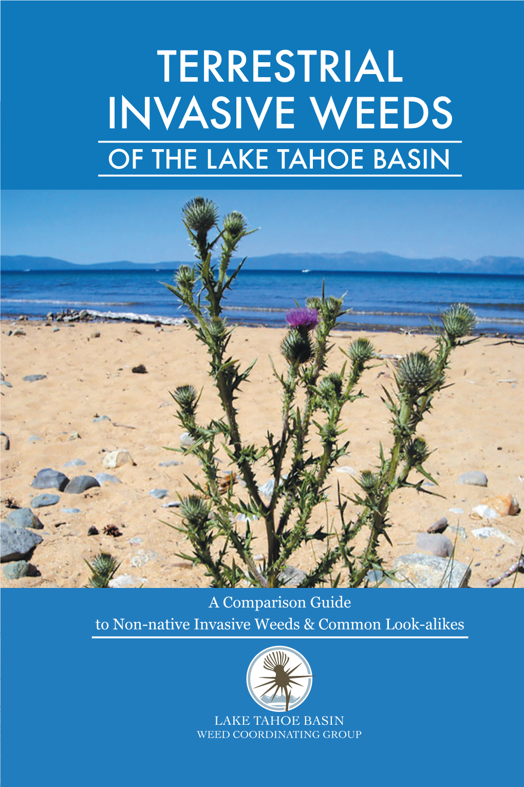 Invasive Weeds of the Lake Tahoe Basin