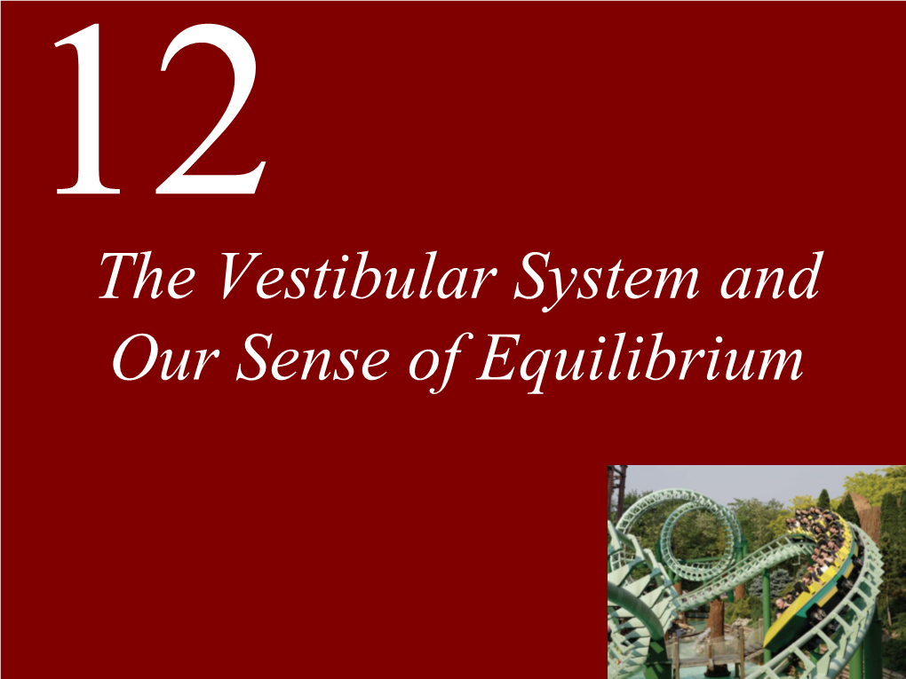 The Vestibular System and Our Sense of Equilibrium Clickchapter to Edit 12 Masterthe Vestibular Title Style System and Our Sense of Equilibrium