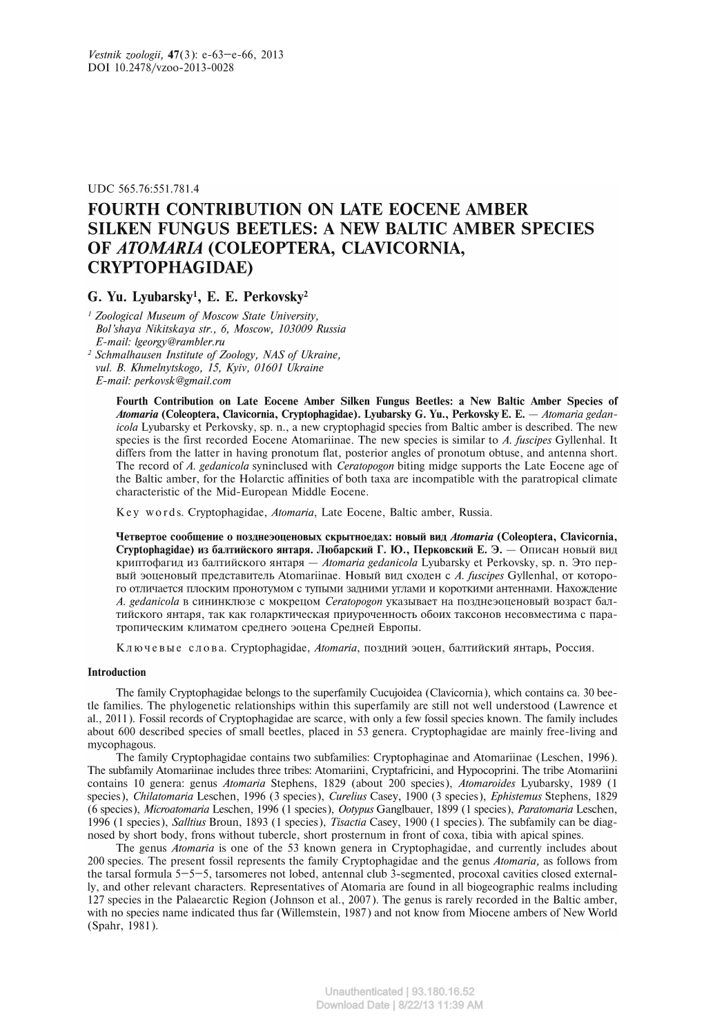 A New Baltic Amber Species of Atomaria (Coleoptera, Clavicornia, Cryptophagidae)