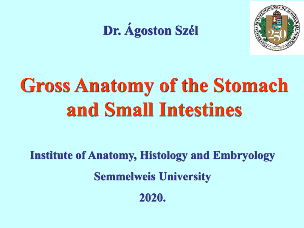 Gross Anatomy of the Stomach and Small Intestines