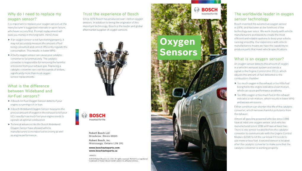 Oxygen Sensors